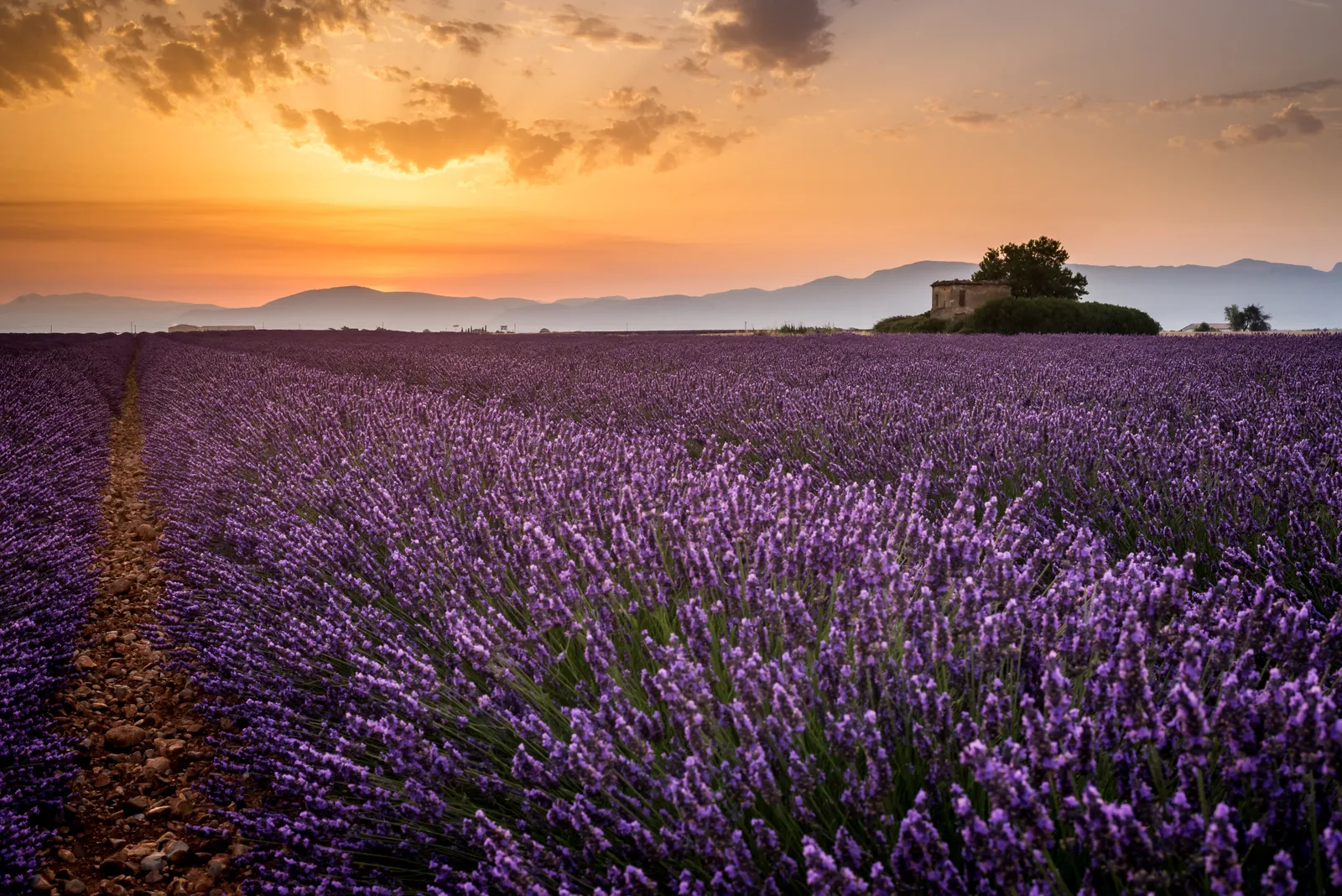 Que manger et acheter en Provence quand on découvre la région