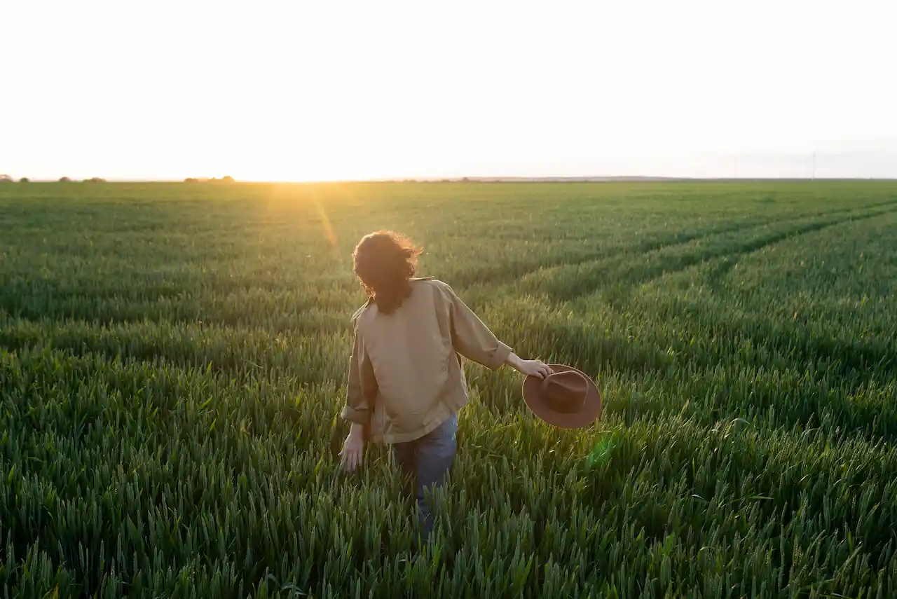 Agriculture biologique vs raisonnée : quelles différences ?