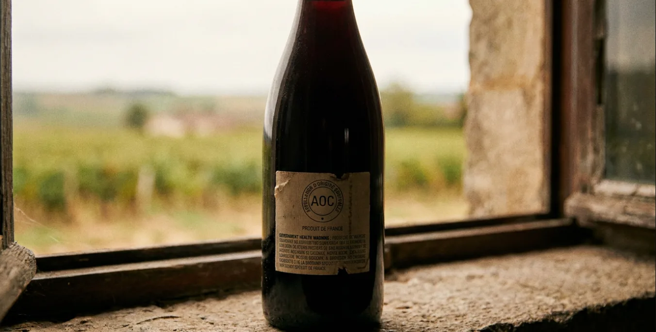AOC : la plus ancienne appellation française, expliquée simplement