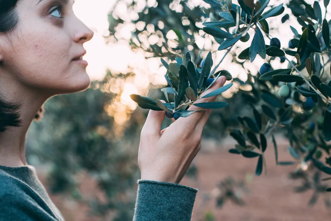 Toutes les spécialités de Provence