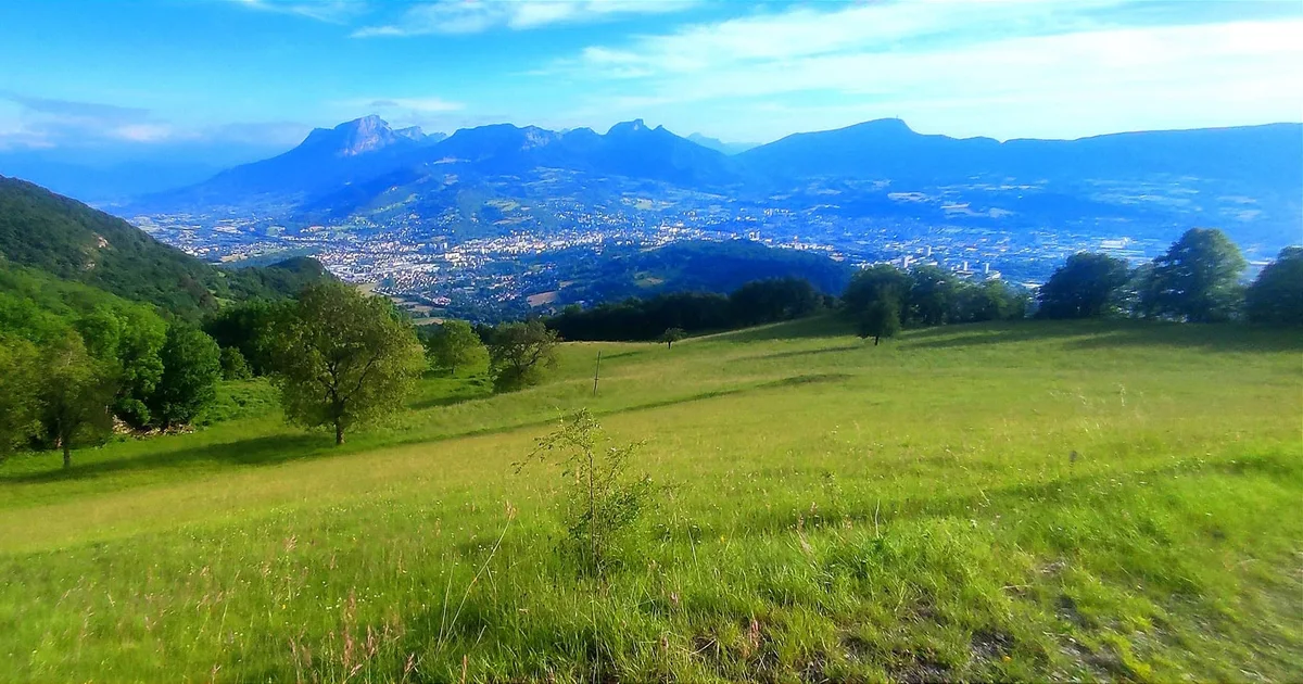 Toutes les spécialités de Savoie
