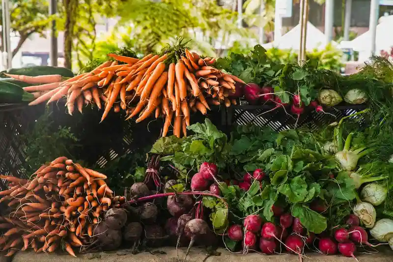 Producteur local présentant ses produits en circuit court