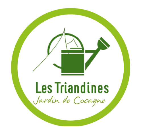 Les Triandines