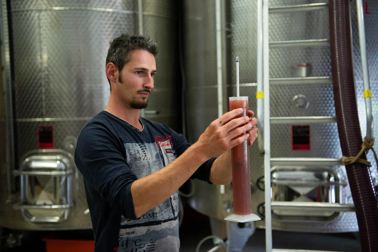 Domaine Adrien Veyron et Fils