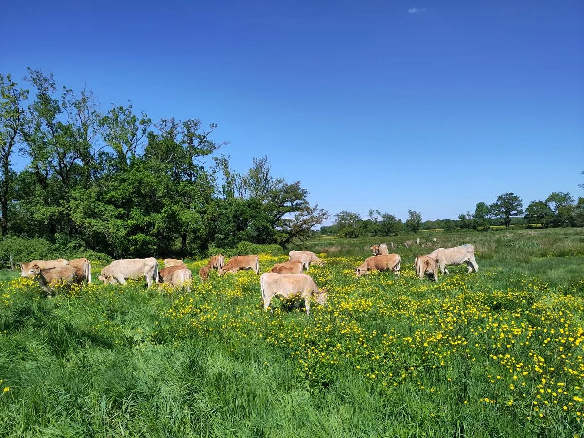 Les Herbagères